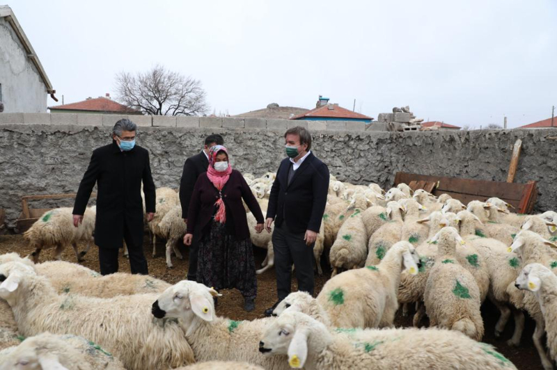 YAŞAMAK İÇİN BİR “SÜRÜ” NEDEN BULDULAR