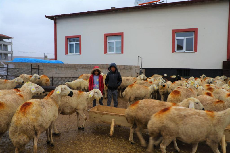 YAŞAMAK İÇİN BİR “SÜRÜ” NEDEN BULDULAR