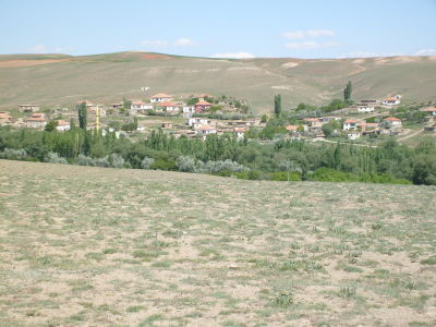 Aksaray Ağaçören