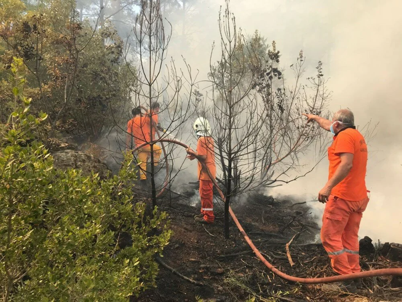 ANTALYA, ADANA, MERSİN, MUĞLA, OSMANİYE VE KAYSERİ 'DE ORMAN YANGINLARINDA SON DURUM