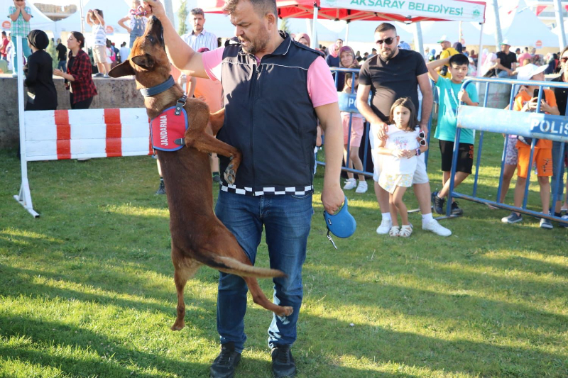 Narkotik Köpeği Yaman, Çocukların Gözdesi Oldu