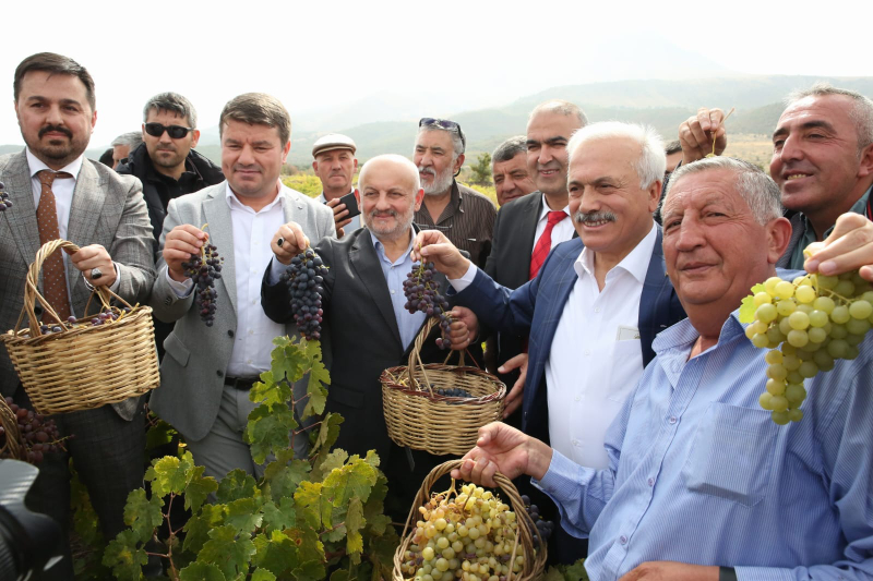 Uzun Yaşamanın Sırrı Bu Pekmez’de