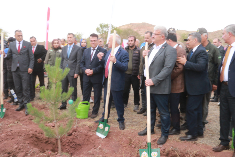 Cumhuriyetin Yeni Yüzyılında "100. Yıl Hatıra Ormanı" Açıldı