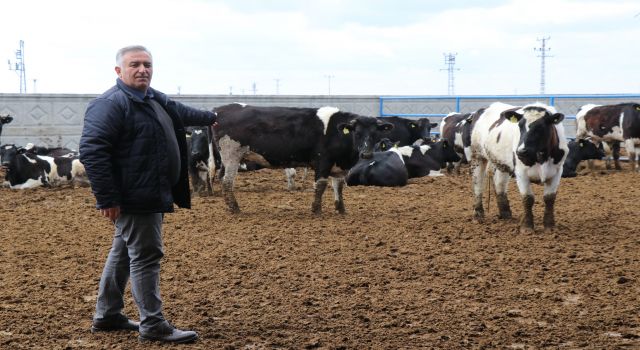 DSYB’den “Ulusal Yem Konseyi kurulsun” çağrısı