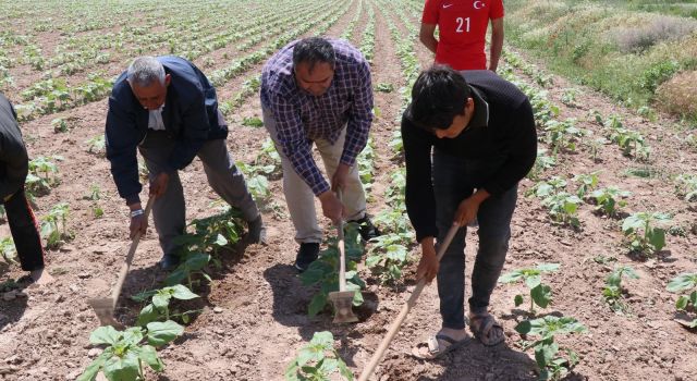 Resim Yarışmasında Dereceye Giren Öğrencilere Ödül