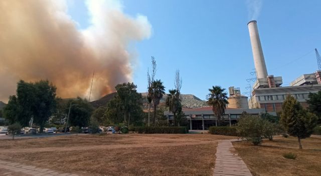 Yangın yeniden başladı, termik santral tehdit altında