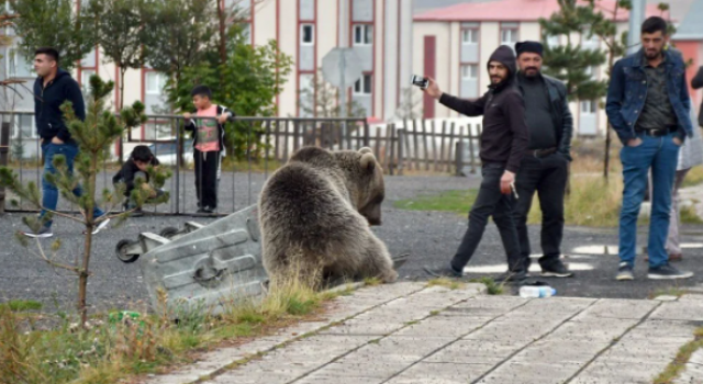 Selfie Yarışı İçindelerdi