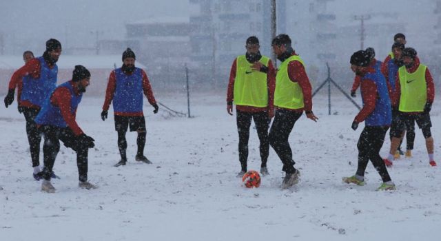 Sahaya Mutlak 3 Puan Parolasıyla Çıkacak