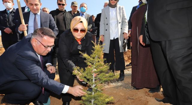 Şehit Ve Gazi Yakınları İçin Fidanlar Toprakla Buluştu