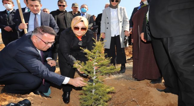 Şehit Ve Gazilerimizin İsimleri Hatıra Ormanında Yaşatılacak