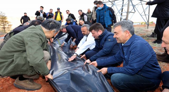 İlk Kez Malçlama Tekniği İle Ağaçlandırma Yapıldı