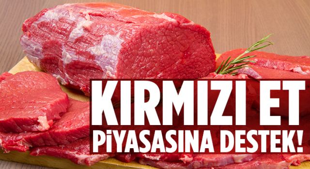 Kırmızı Et Piyasasına Destek