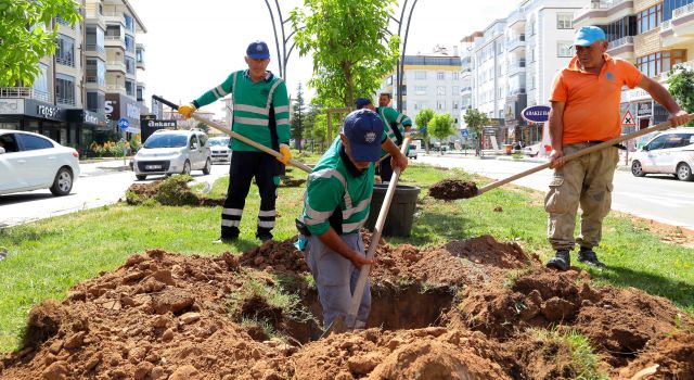 Belediye Fidan Dikimlerini Sürdürüyor