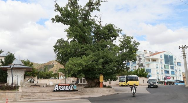 700 Yıllık 'Kanlı Pelit' Efsanelerle Yaşıyor