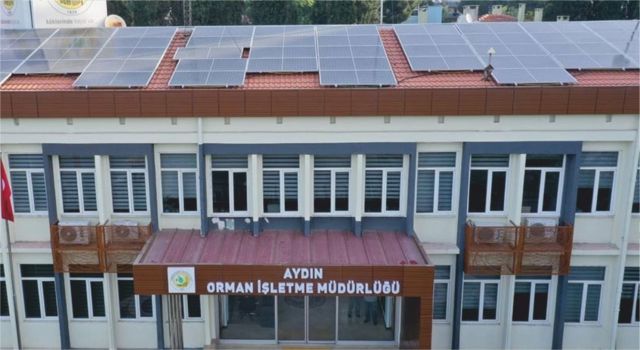 Orman yolu yaptırılacaktır