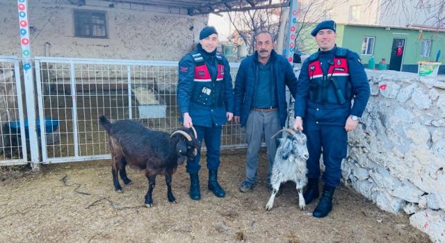 Küçükbaş Hayvan Hırsızları Ankara'da Yakayı Ele Verdi