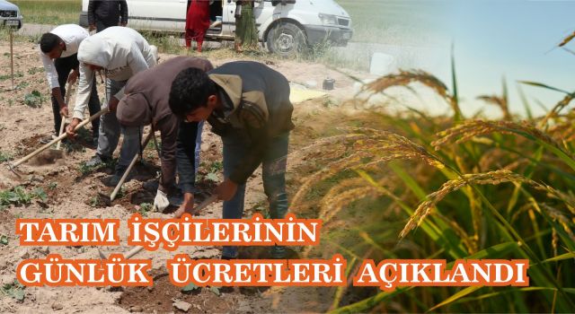 Tarım İşçilerinin Günlük Ücretleri Açıklandı