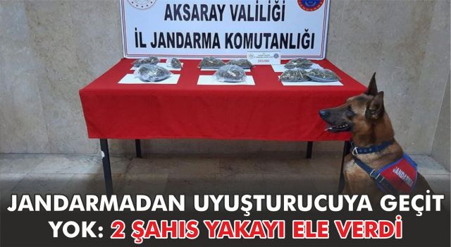 Jandarmadan Uyuşturucuya Geçit Yok: 2 Şahıs Yakayı Ele Verdi