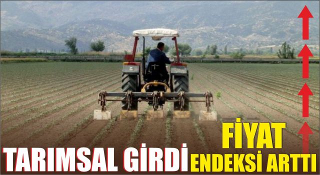 Tarımsal Girdi Fiyat Endeksi Arttı