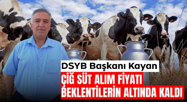 DSYB Başkanı Kayan: Çiğ Süt Alım Fiyatı Beklentilerin Altında Kaldı