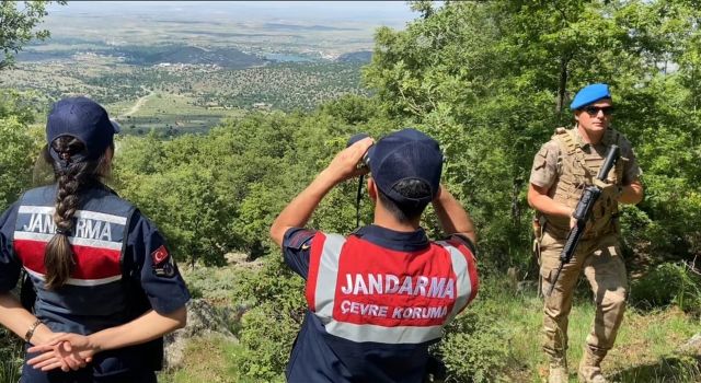 Jandarma Orman Yangınlarına Karşı Teyakkuz!