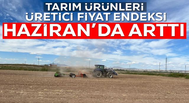 Tarım Ürünleri Üretici Fiyat Endeksi Haziran’da Arttı