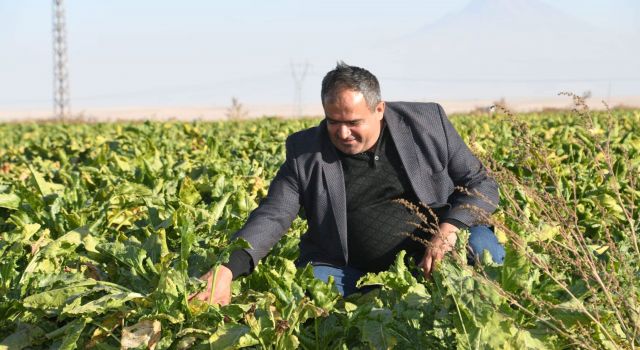 Başkan Koçak: Mazota Gelen Zam Oranında Pancara Fiyat Bekliyoruz