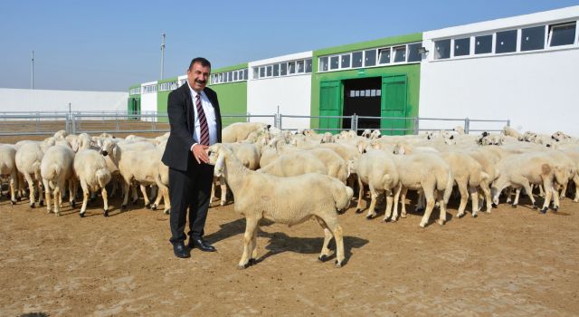 “Yöresel Hayvancılık Hibe Projeleri Desteği İle Aile İşletmeciliği Güçlendirilecek”