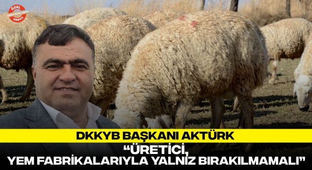 DKKYB Başkanı Aktürk: “Üretici, Yem Fabrikalarıyla Yalnız Bırakılmamalı”