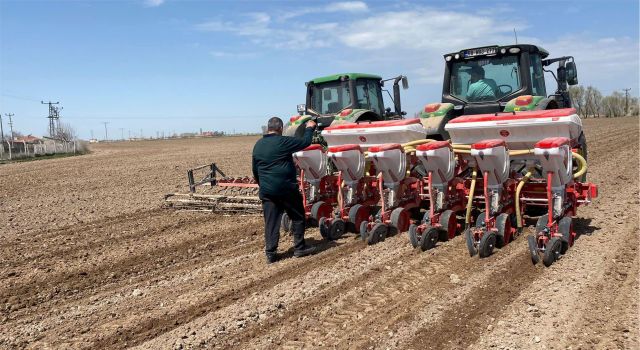 "2024 Yılında Ayçiçeği Üretimiyle Aksaray, Türkiye Birincisi Olacak"