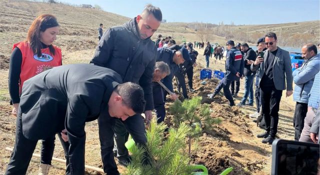 Ormancılık Haftasında Fidanlar Toprakla Buluştu