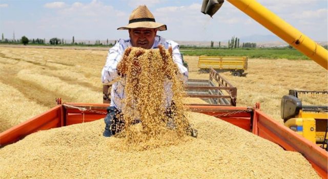 Hububat Alım Fiyatı Açıklandı, Çiftçinin Umudu Gelecek Yıla Kaldı