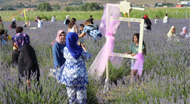 Lavanta Bahçesi, Ziyaretçilerine Huzur Dolu Anlar Sunuyor