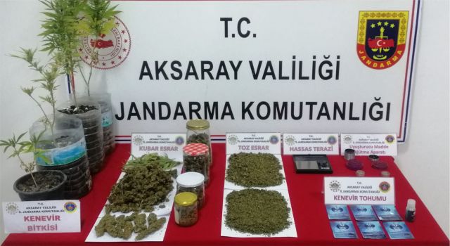 Jandarmandan Zehir Tacirine Nokta Atışı Operasyon