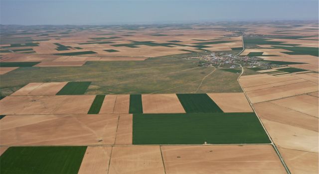 Atıl Durumdaki Tarlalar İçin Bakanlık Düğmeye Bastı