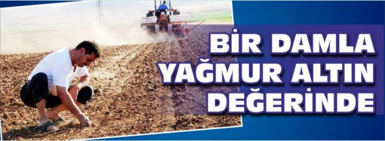 Bir Damla Yağmur Altın Değerinde 