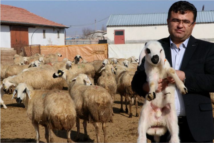 Dkkyb Başkanı Aktürk “Enerji Yüklü Yem Yedirin”