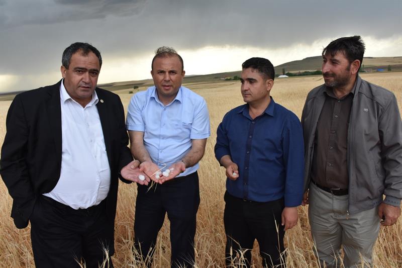 Dolu Vuran Tarlalarda Ön İnceleme Yapıldı