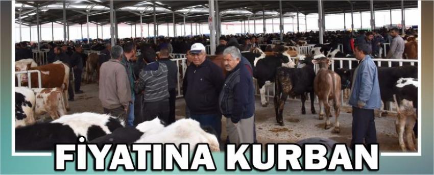 Fiyatına Kurban