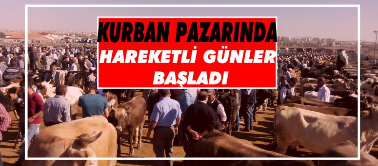 Kurban Pazarında Hareketli Günler Başladı