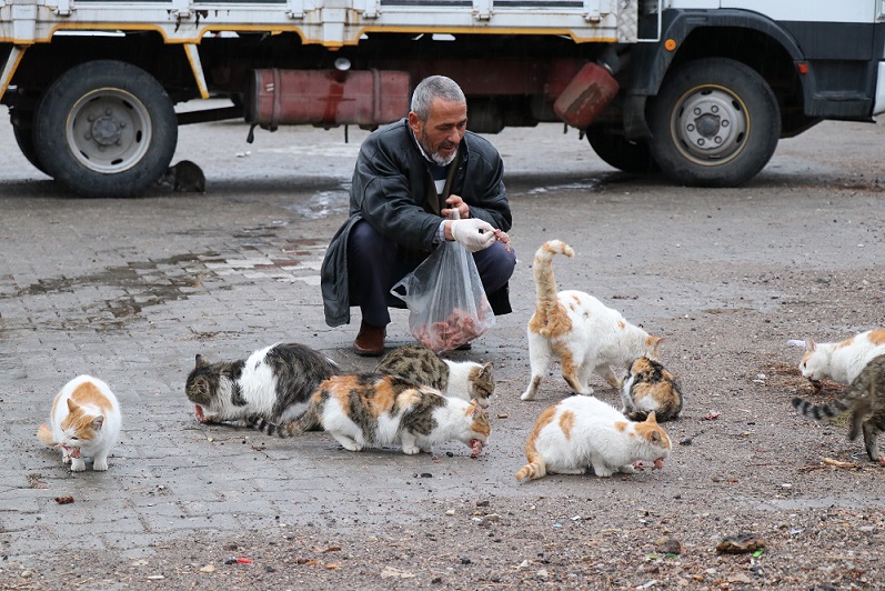 Her Gün Onun Yolunu Gözlüyorlar