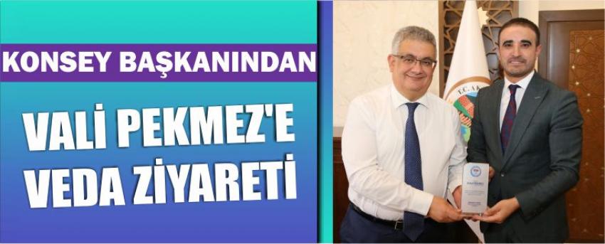 Konsey Başkanından Vali Pekmez’e Veda Ziyareti