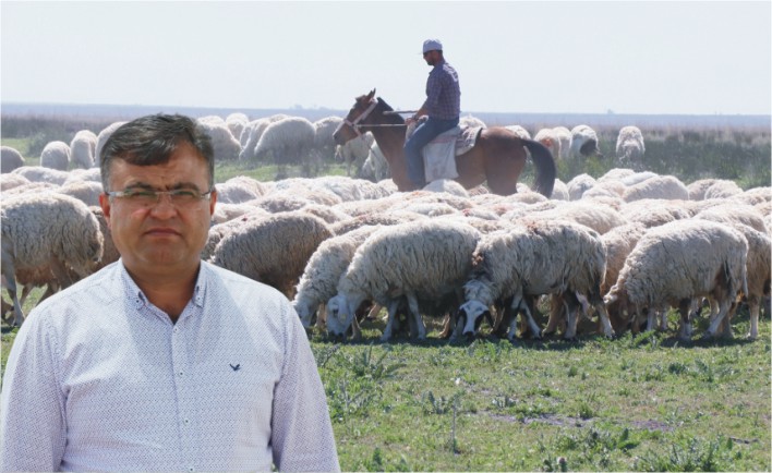 Mera İşgaline Hapis Cezası