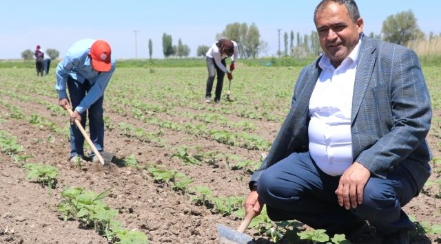 Tarım İşçisi Sezonu Başladı