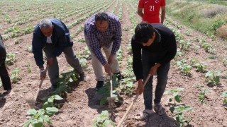 Resim Yarışmasında Dereceye Giren Öğrencilere Ödül