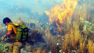 Bodrum tepeleri alev alev yanıyor