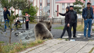 Selfie Yarışı İçindelerdi