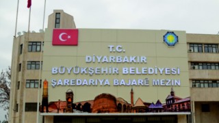 Dut Fidanı Alınacaktır