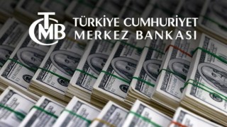 Merkez Bankası'ndan BOTAŞ'a Rekor Döviz Satışı