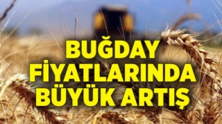 Buğday Fiyatlarındaki Günlük Artış Yüzde 10'u Aştı